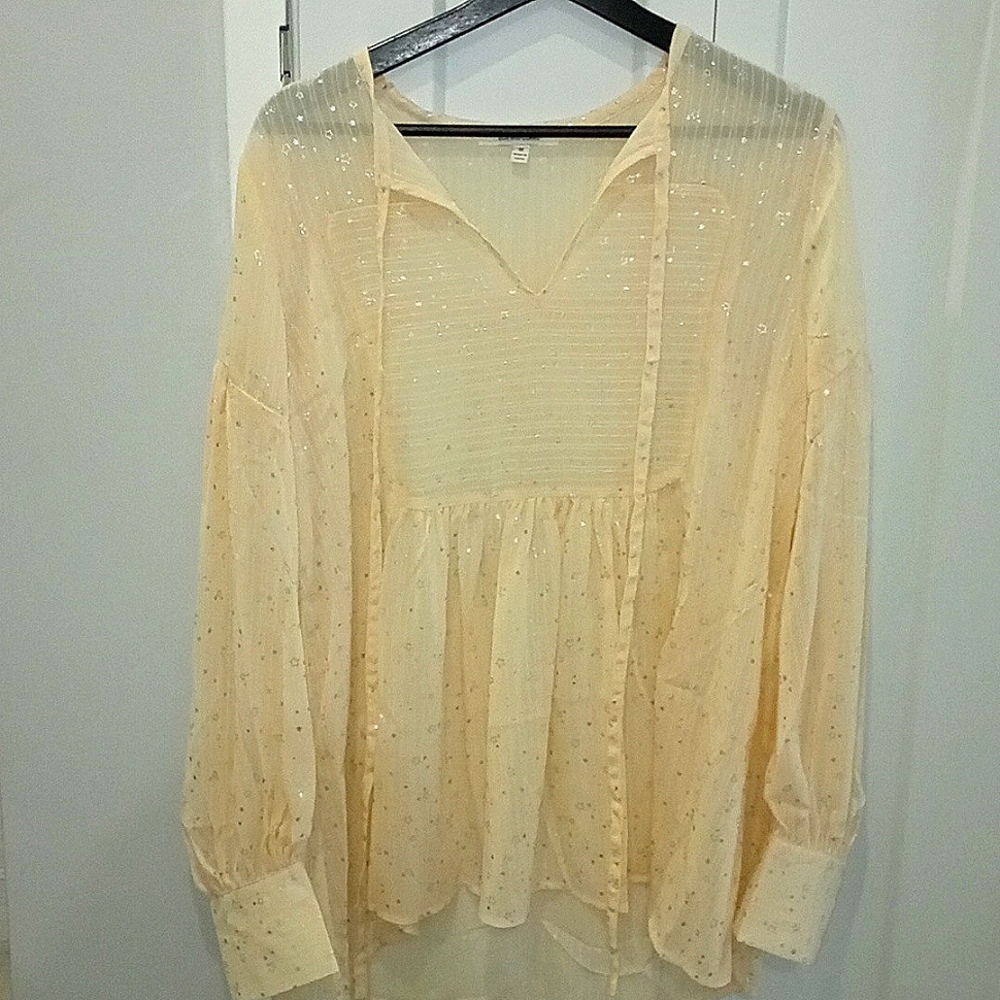 Sheer Blouse